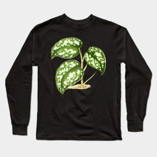 Scindapsus pictus - Rothschild - Botanical Illustration Long Sleeve T-Shirt